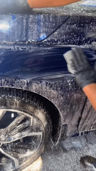 Lazarus Pro Detail Abou Us 1